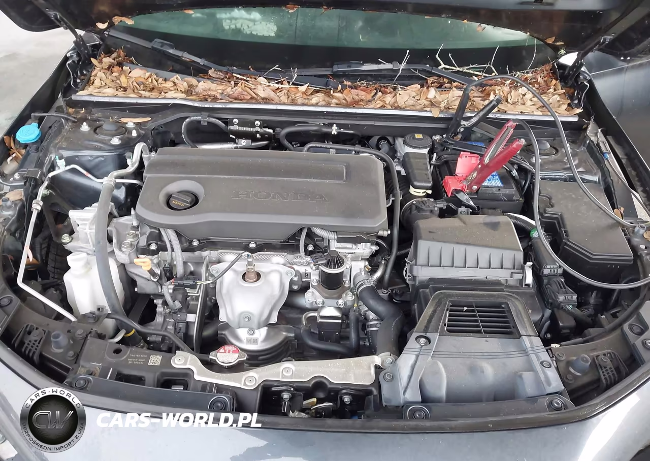 2025 Honda Civic Sport VIN:2HGFE2F54SH513665 - 10