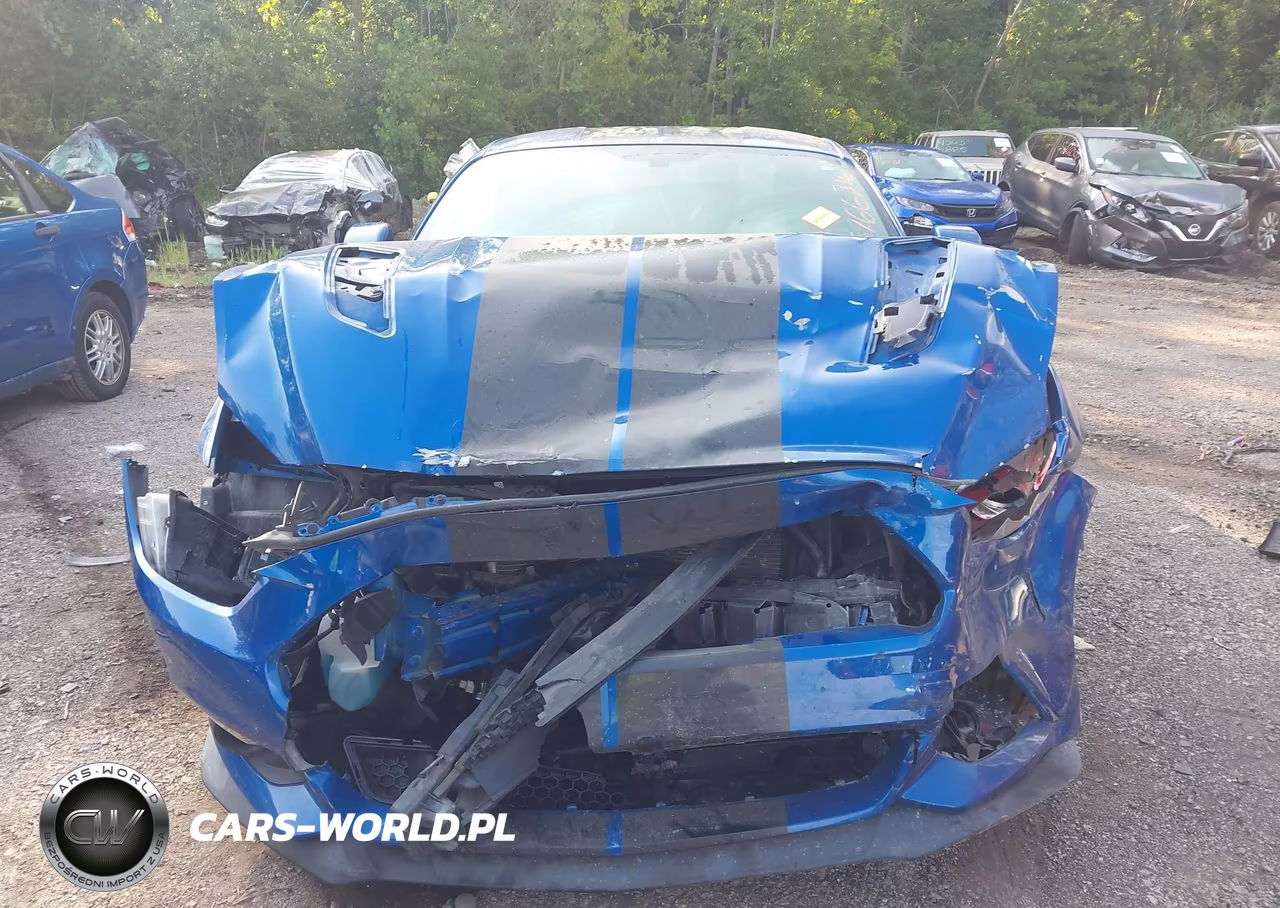 2017 Ford Mustang Gt Premium VIN:1FA6P8CF6H5270875 - 12
