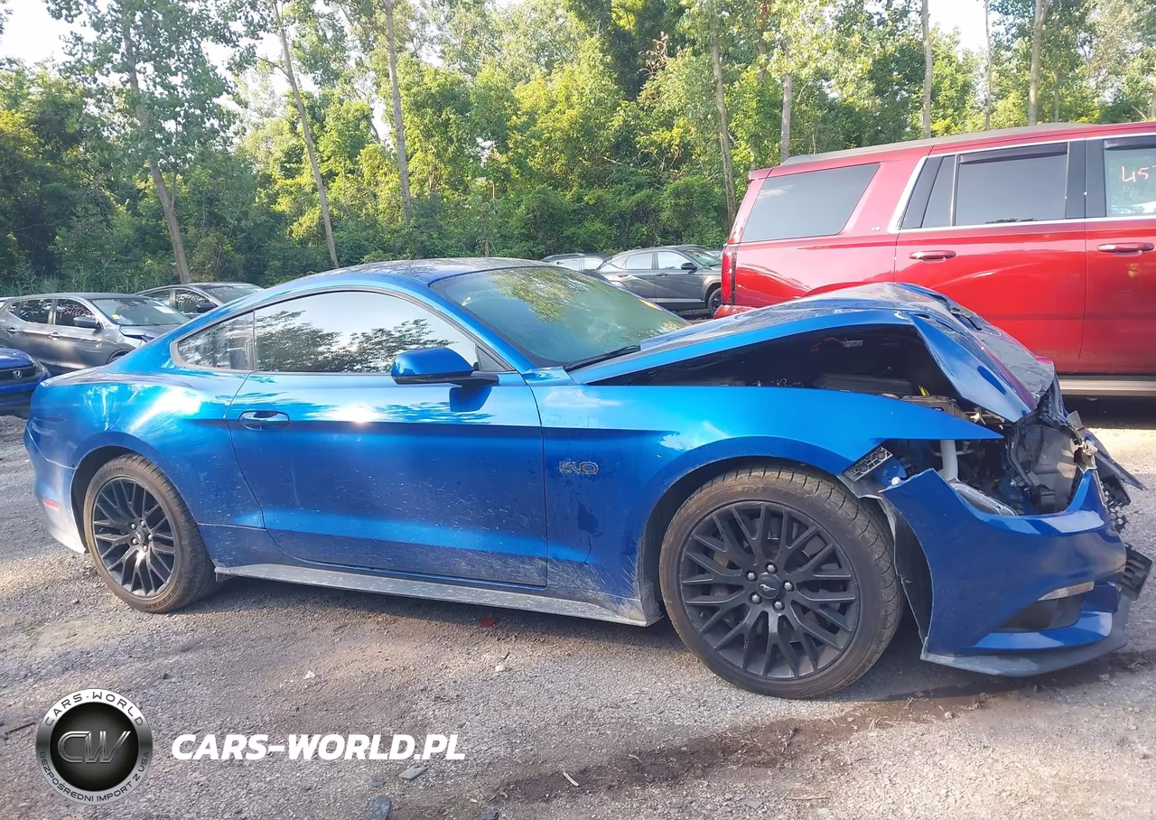 2017 Ford Mustang Gt Premium VIN:1FA6P8CF6H5270875 - 13
