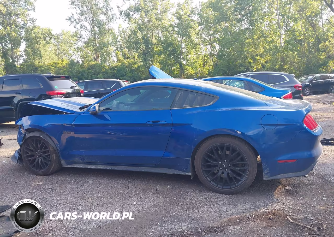 2017 Ford Mustang Gt Premium VIN:1FA6P8CF6H5270875 - 14
