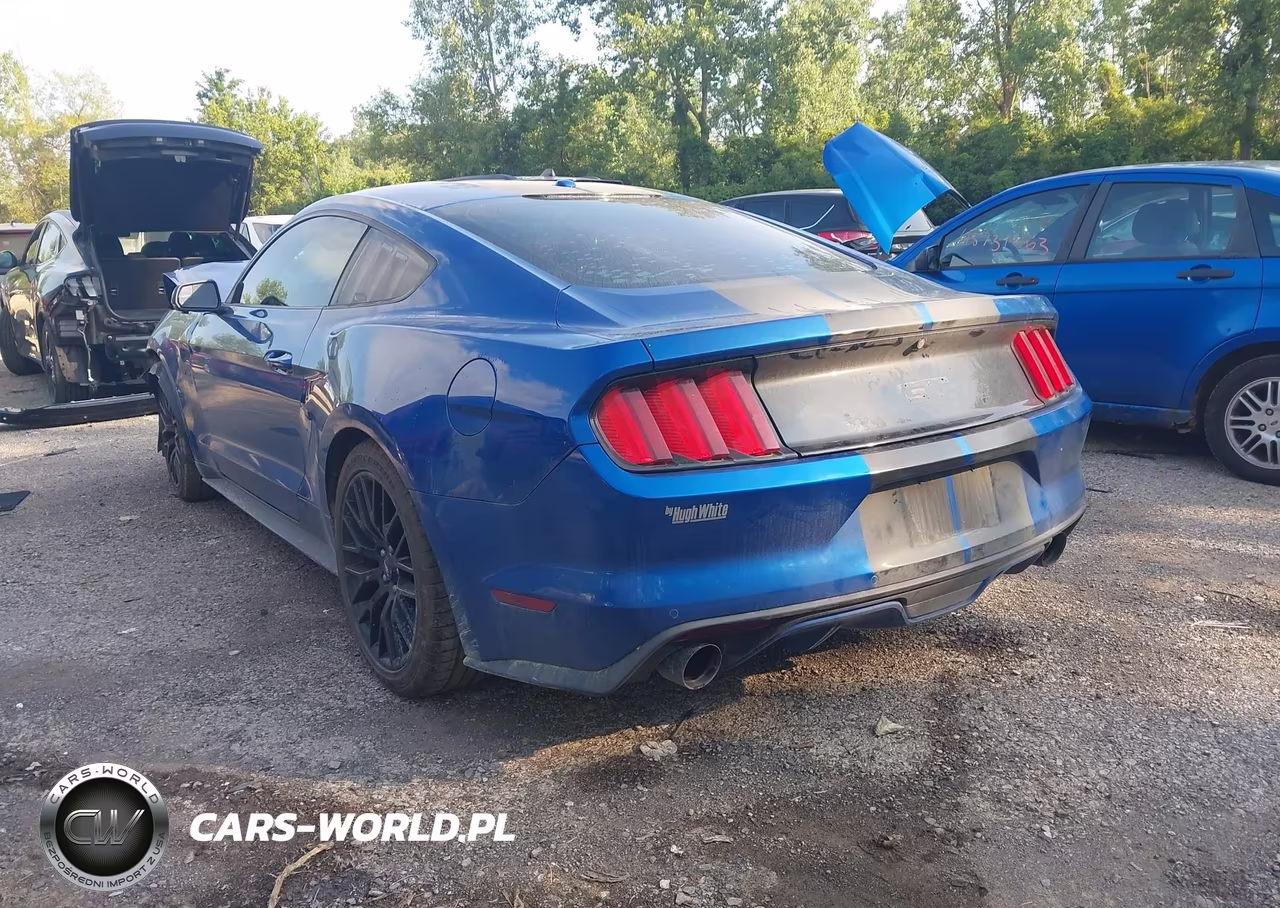 2017 Ford Mustang Gt Premium VIN:1FA6P8CF6H5270875 - 3