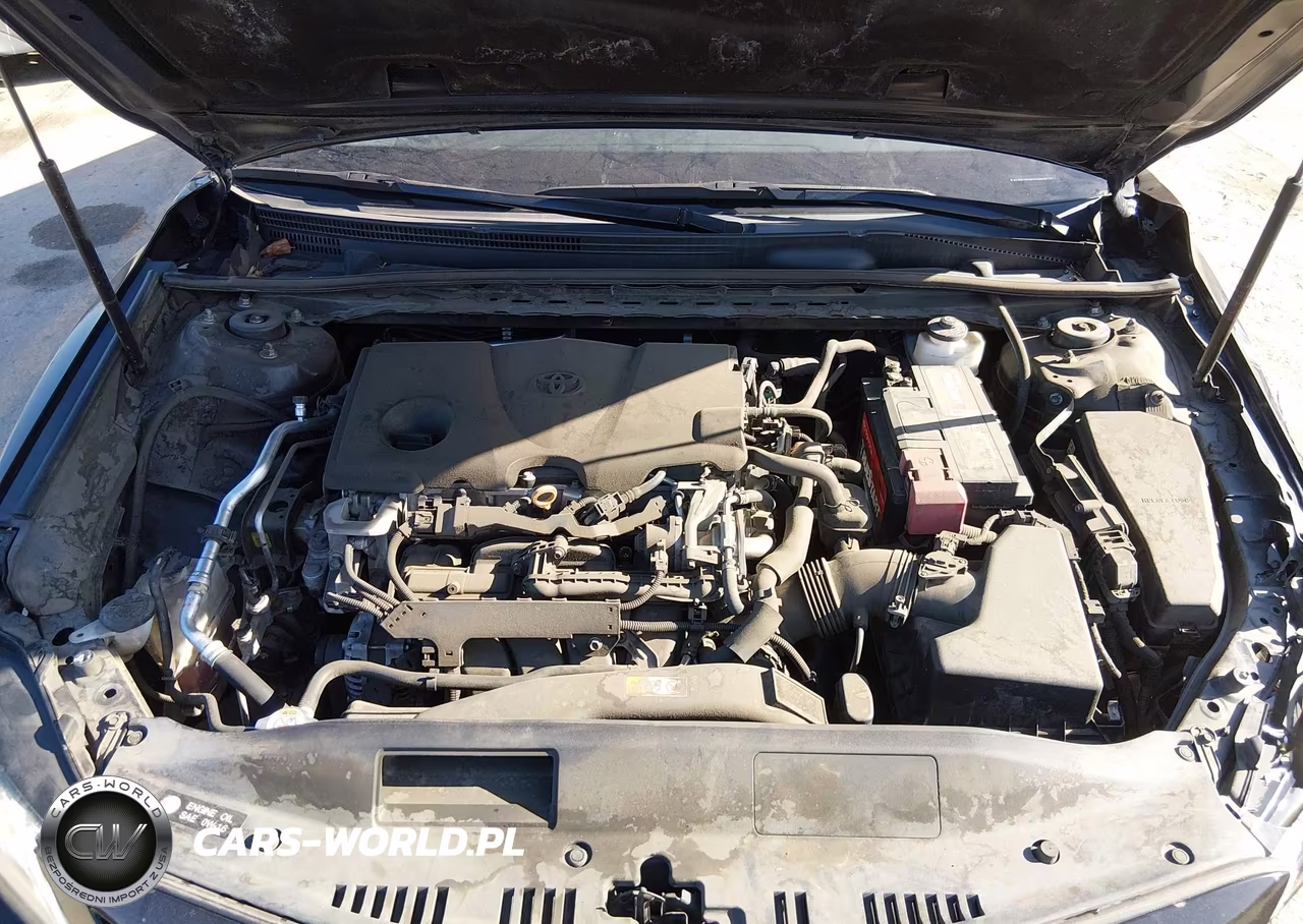 2019 Toyota Camry Xse VIN:4T1B61HK6KU218809 - 10