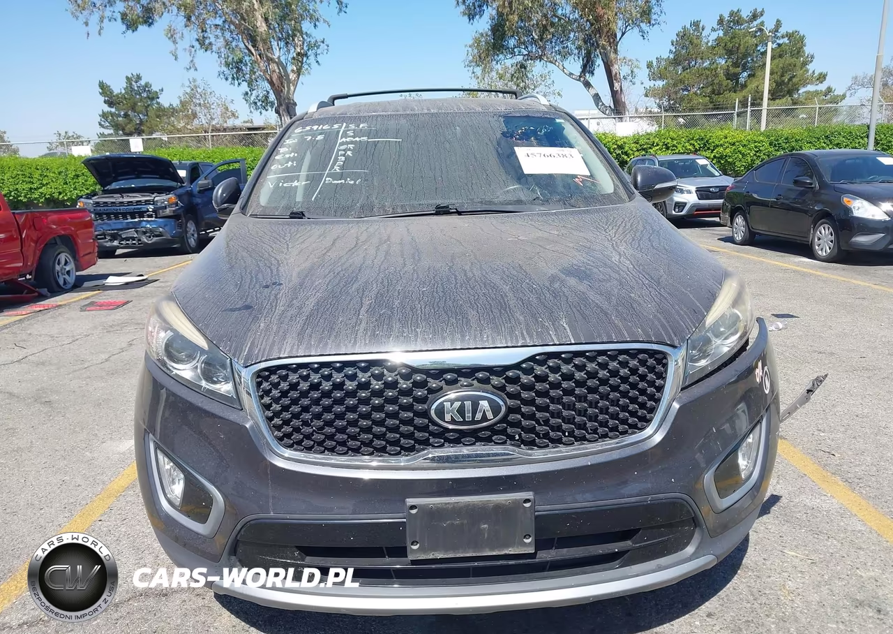 2016 Kia Sorento 2.0T Ex VIN:5XYPH4A10GG126286 - 12