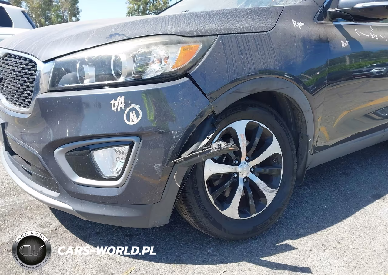 2016 Kia Sorento 2.0T Ex VIN:5XYPH4A10GG126286 - 17