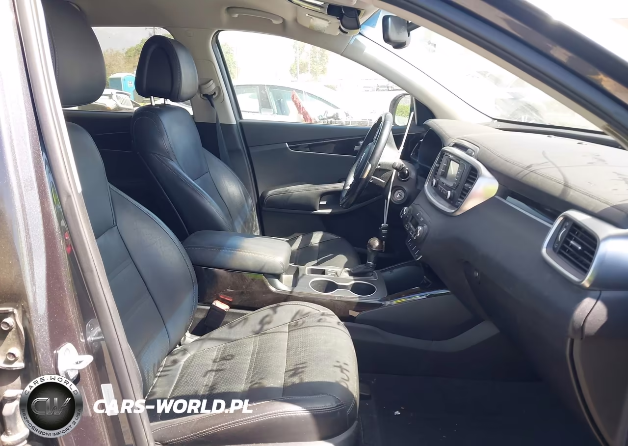 2016 Kia Sorento 2.0T Ex VIN:5XYPH4A10GG126286 - 5