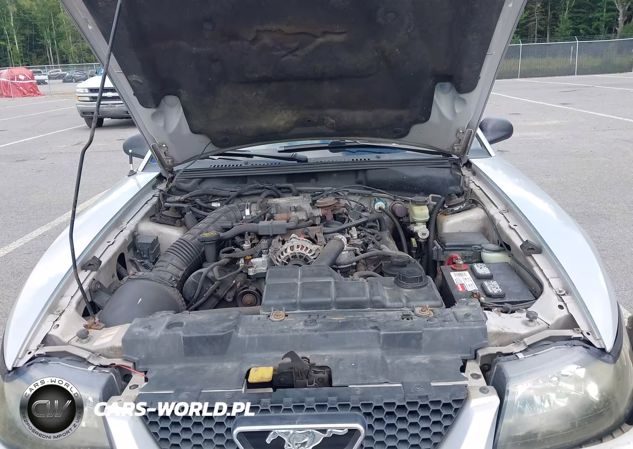 2000 Ford Mustang Gt VIN:1FAFP42X6YF220944 - 10