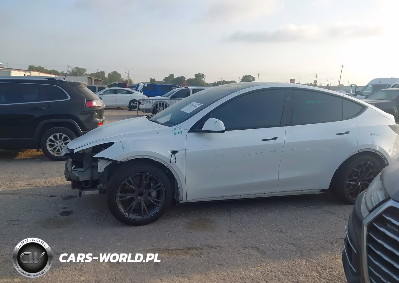 2025 Tesla Model Y Long Range Dual Motor Rear-Wheel Drive VIN:7SAYGDED6SA356085 - 13