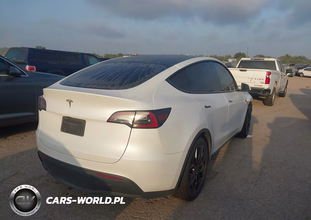2025 Tesla Model Y Long Range Dual Motor Rear-Wheel Drive VIN:7SAYGDED6SA356085 - 4