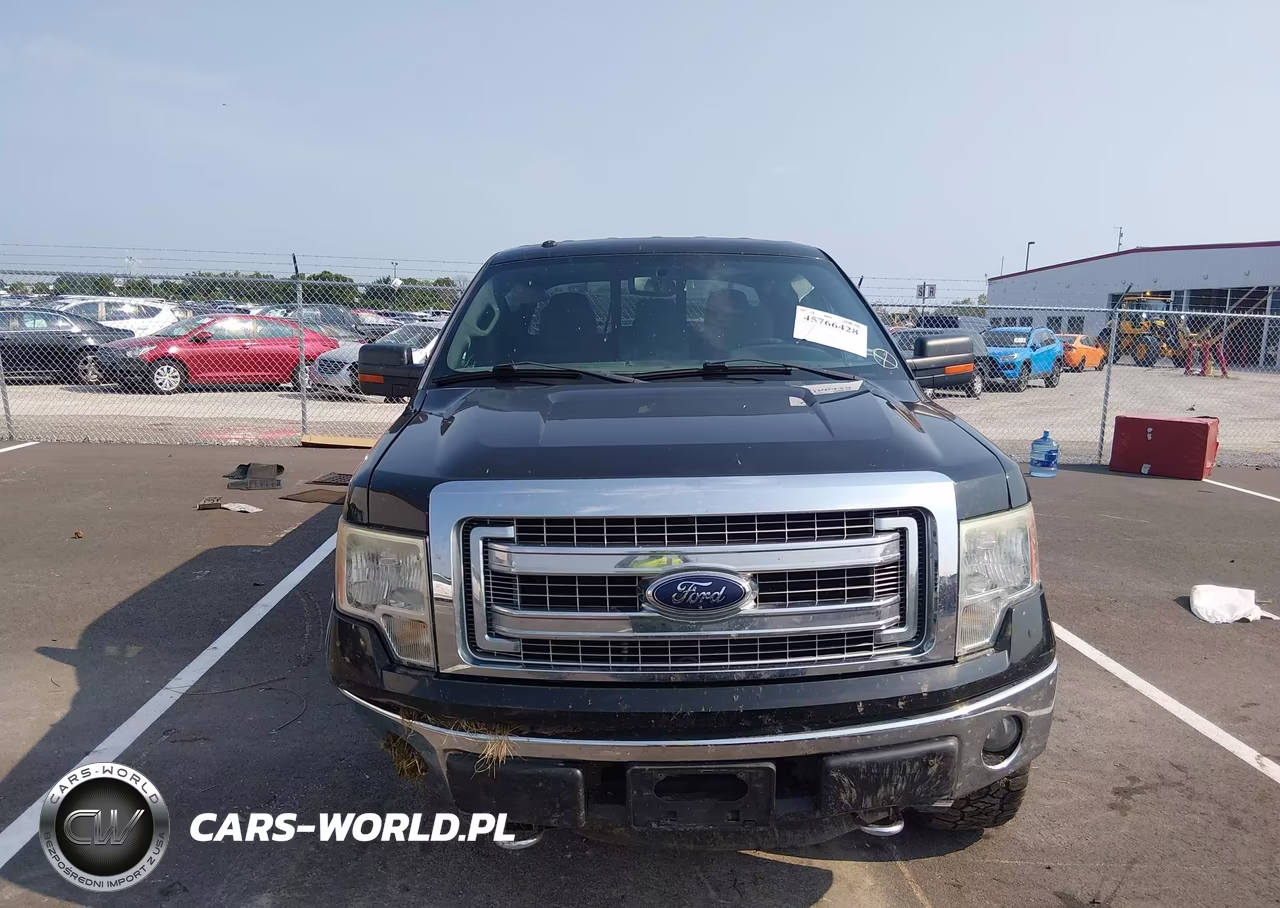 2013 Ford F-150 Xlt VIN:1FTFW1EF6DKE17211 - 13