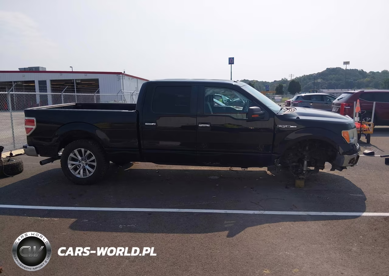 2013 Ford F-150 Xlt VIN:1FTFW1EF6DKE17211 - 14