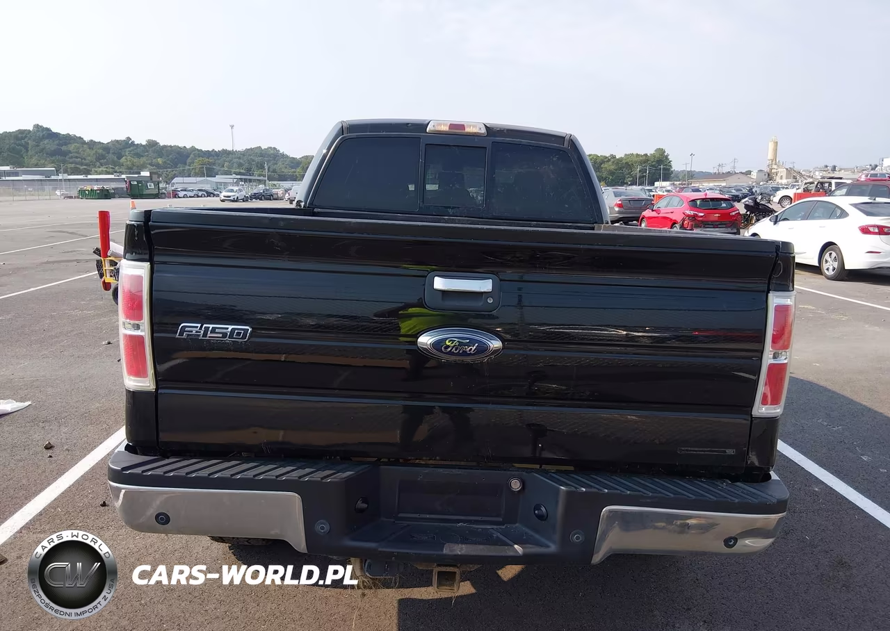 2013 Ford F-150 Xlt VIN:1FTFW1EF6DKE17211 - 17