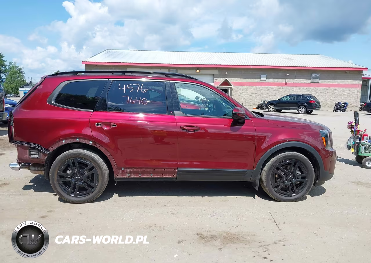 2024 Kia Telluride Sx Prestige X-Line VIN:5XYP5DGC4RG453097 - 13