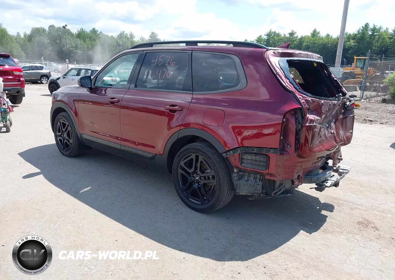 2024 Kia Telluride Sx Prestige X-Line VIN:5XYP5DGC4RG453097 - 3