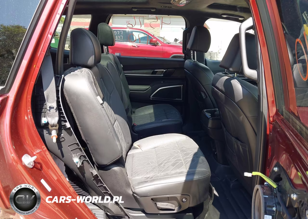 2024 Kia Telluride Sx Prestige X-Line VIN:5XYP5DGC4RG453097 - 8