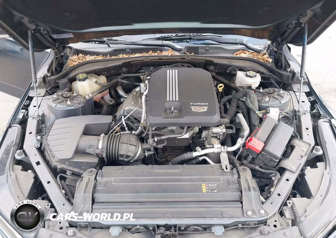 2021 Cadillac Ct4 Luxury VIN:1G6DK5RKXM0125352 - 10