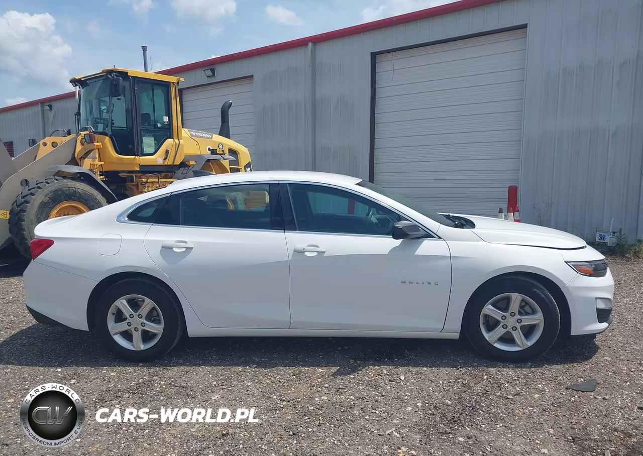 2020 Chevrolet Malibu Fwd 1Fl VIN:1G1ZC5ST0LF138781 - 18