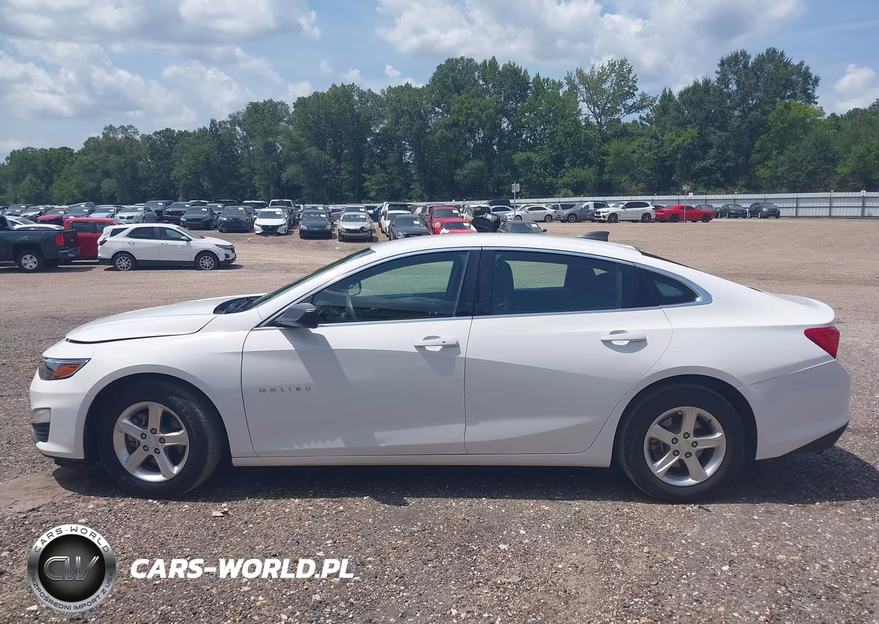 2020 Chevrolet Malibu Fwd 1Fl VIN:1G1ZC5ST0LF138781 - 19
