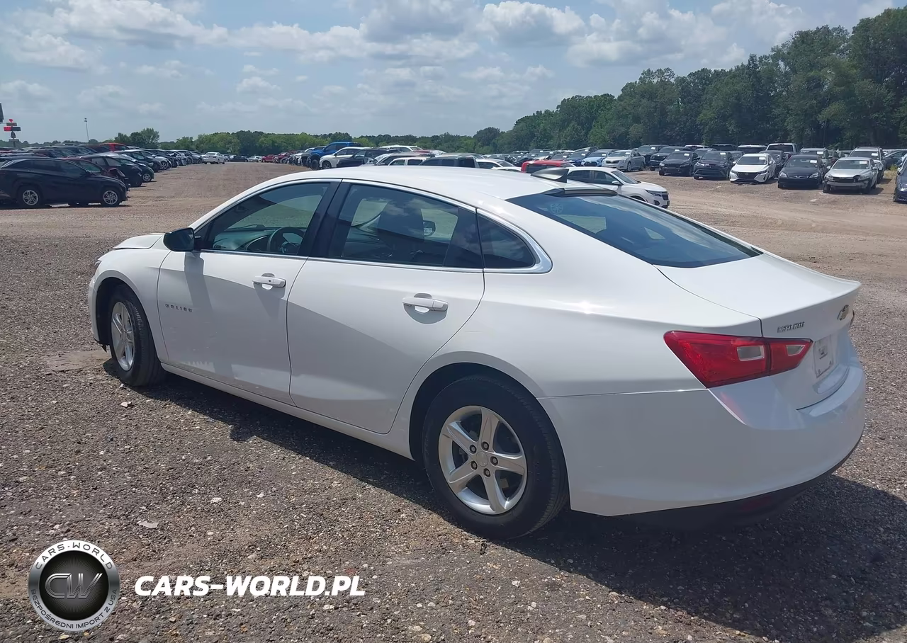 2020 Chevrolet Malibu Fwd 1Fl VIN:1G1ZC5ST0LF138781 - 3