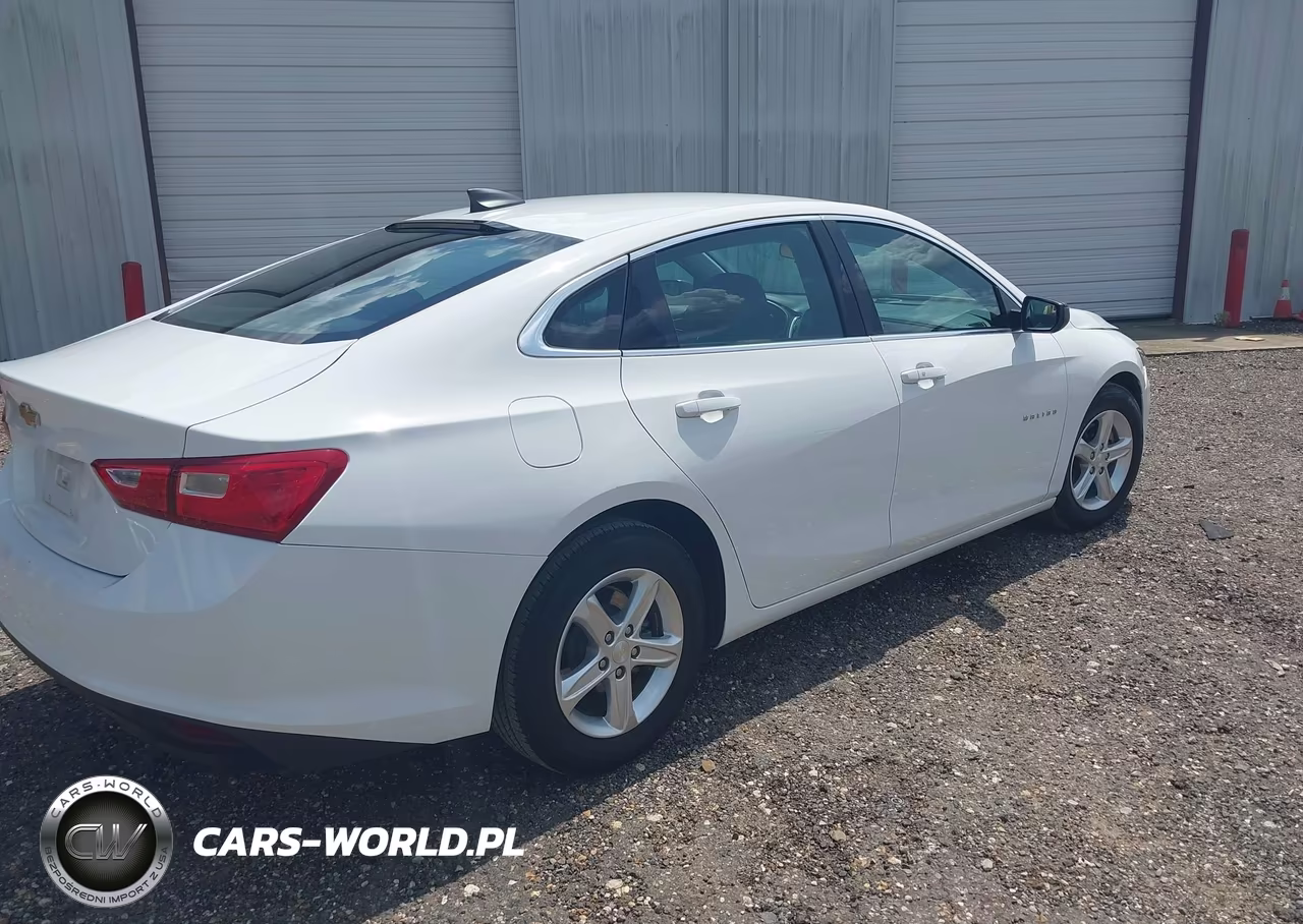 2020 Chevrolet Malibu Fwd 1Fl VIN:1G1ZC5ST0LF138781 - 4