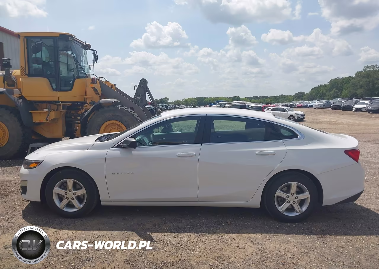 2020 Chevrolet Malibu Fwd 1Fl VIN:1G1ZC5ST3LF138998 - 19
