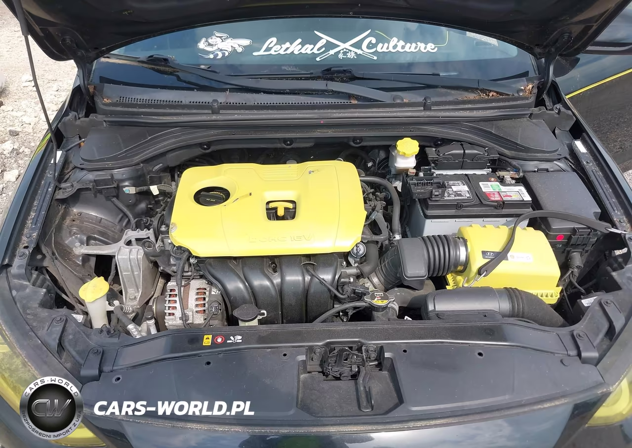 2018 Hyundai Elantra Sel VIN:KMHD84LF3JU491039 - 10