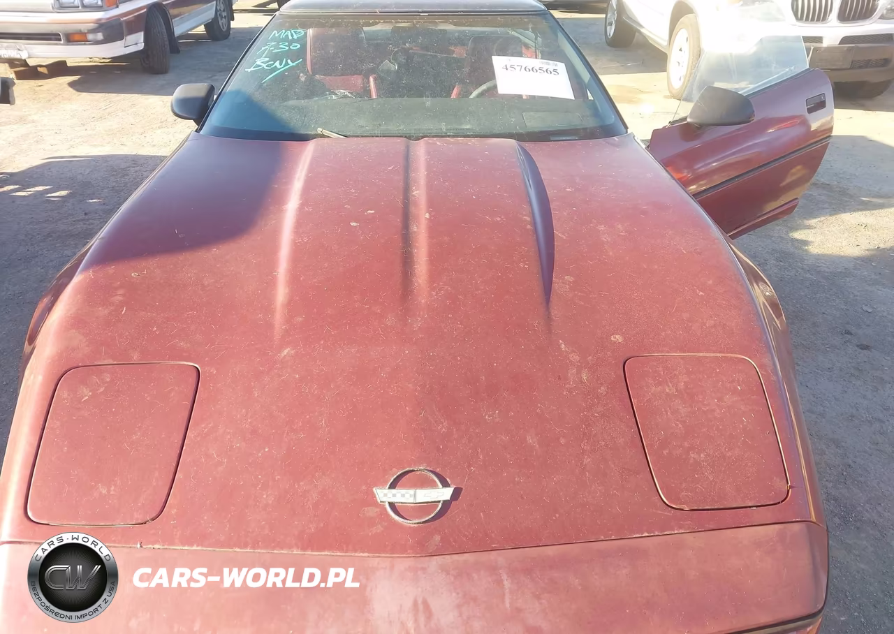 1988 Chevrolet Corvette VIN:1G1YY2184J5101678 - 10