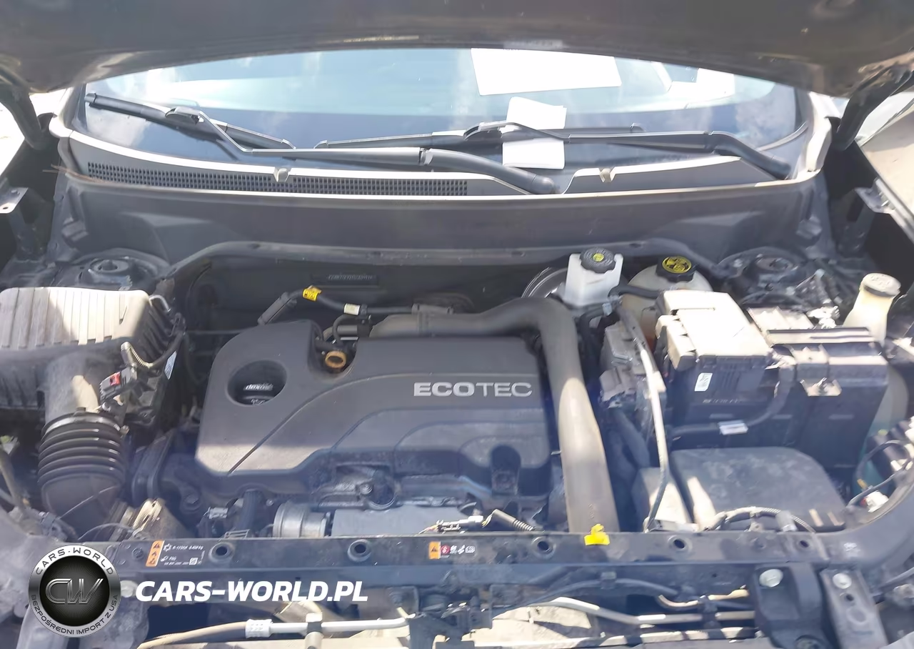 2019 Chevrolet Equinox Lt VIN:2GNAXKEV2K6186917 - 10