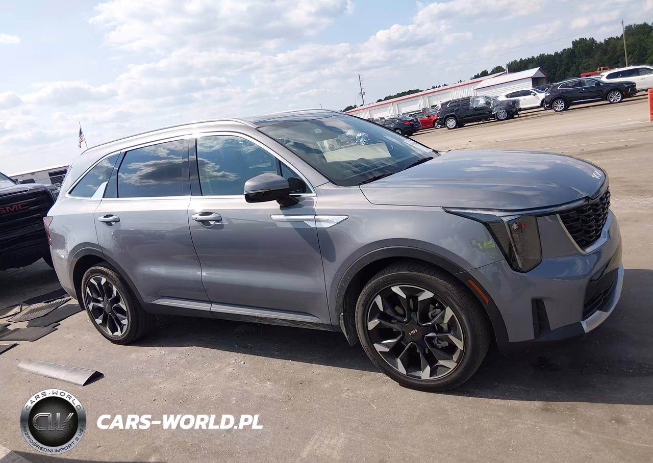 2025 Kia Sorento Ex VIN:5XYRH4JF1SG396625 - 13
