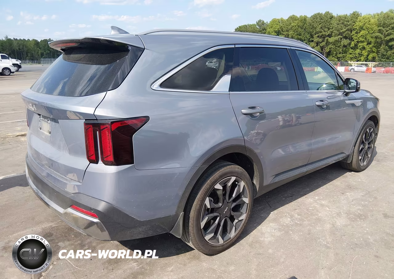 2025 Kia Sorento Ex VIN:5XYRH4JF1SG396625 - 4