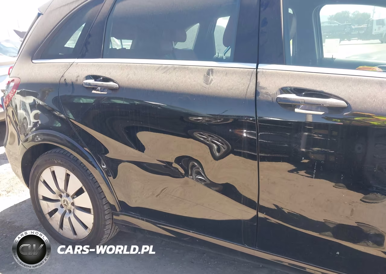 2017 Mercedes-Benz B 250E VIN:WDDVP9AB2HJ016718 - 19