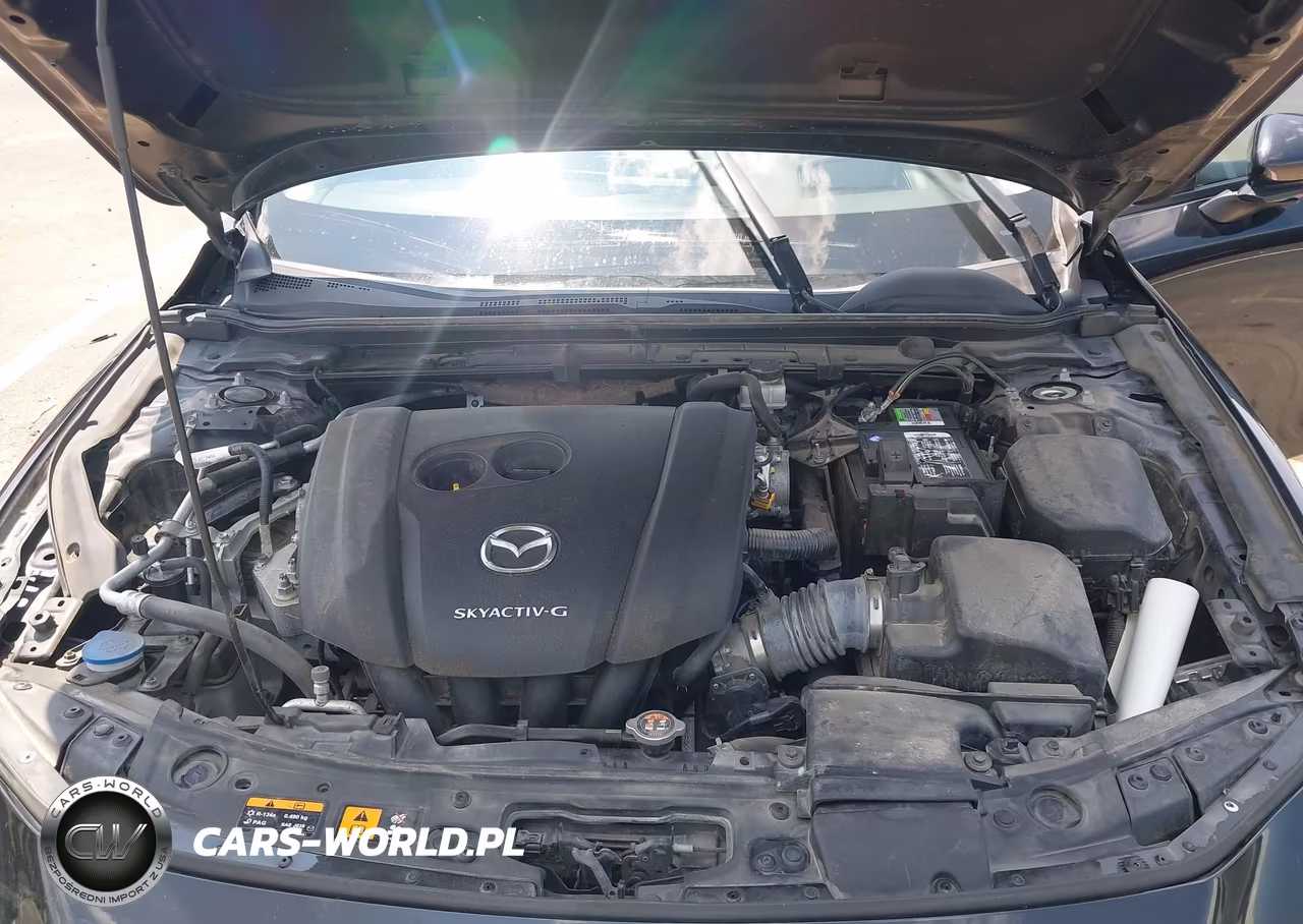 2020 Mazda Mazda3 Premium Package VIN:3MZBPBEMXLM125226 - 10