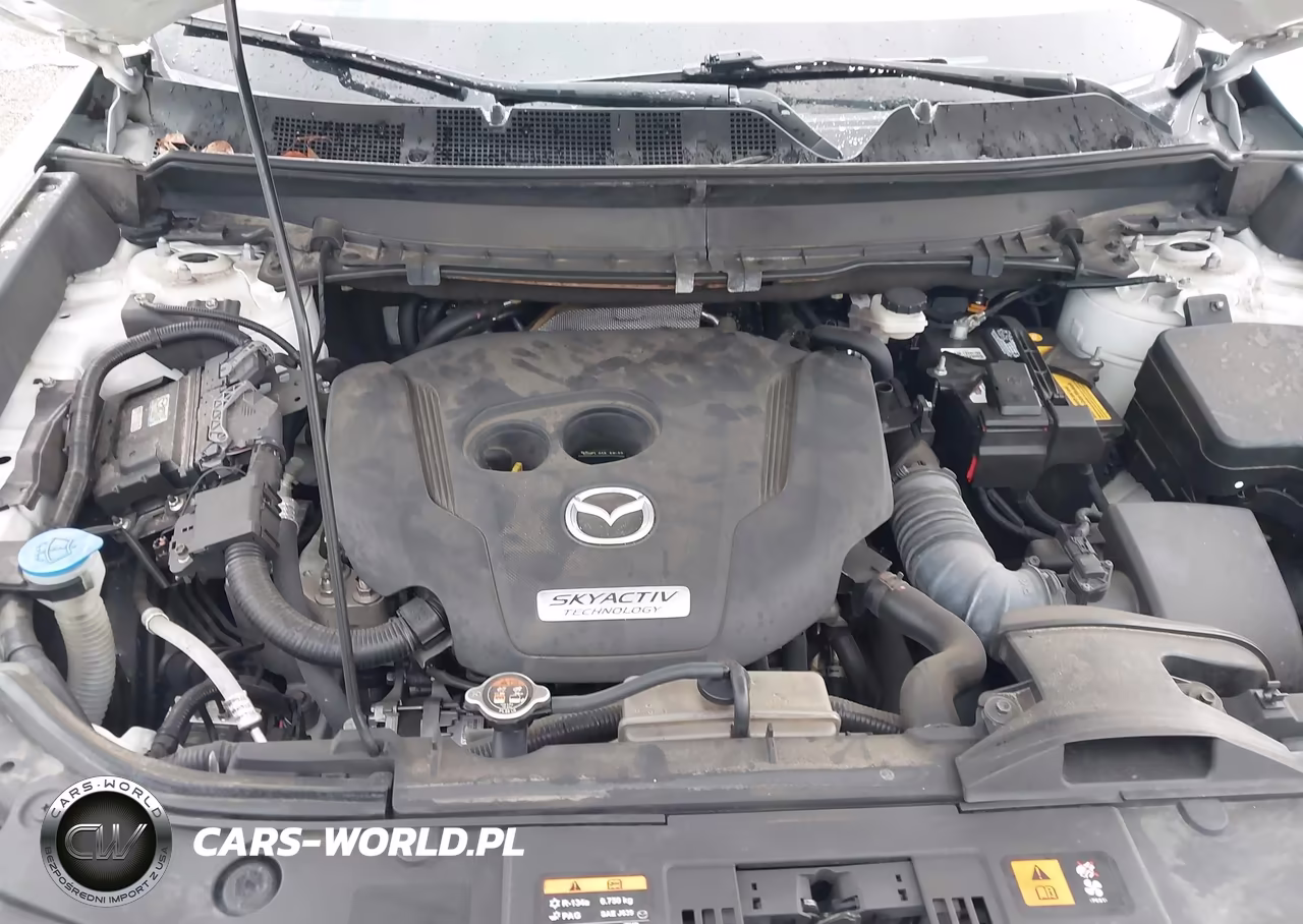 2019 Mazda Cx-9 Touring VIN:JM3TCACY4K0327751 - 10