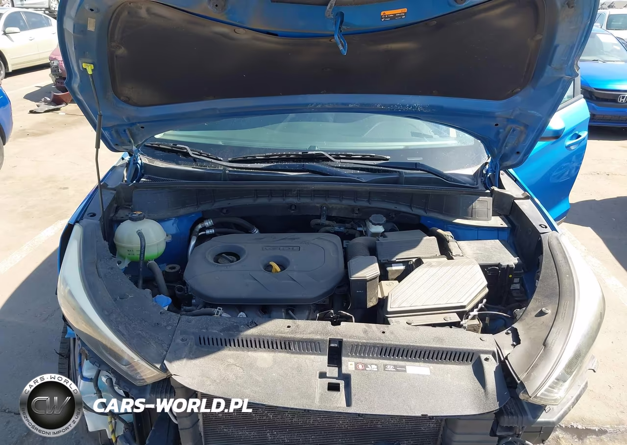 2016 Hyundai Tucson Se VIN:KM8J23A42GU239503 - 10