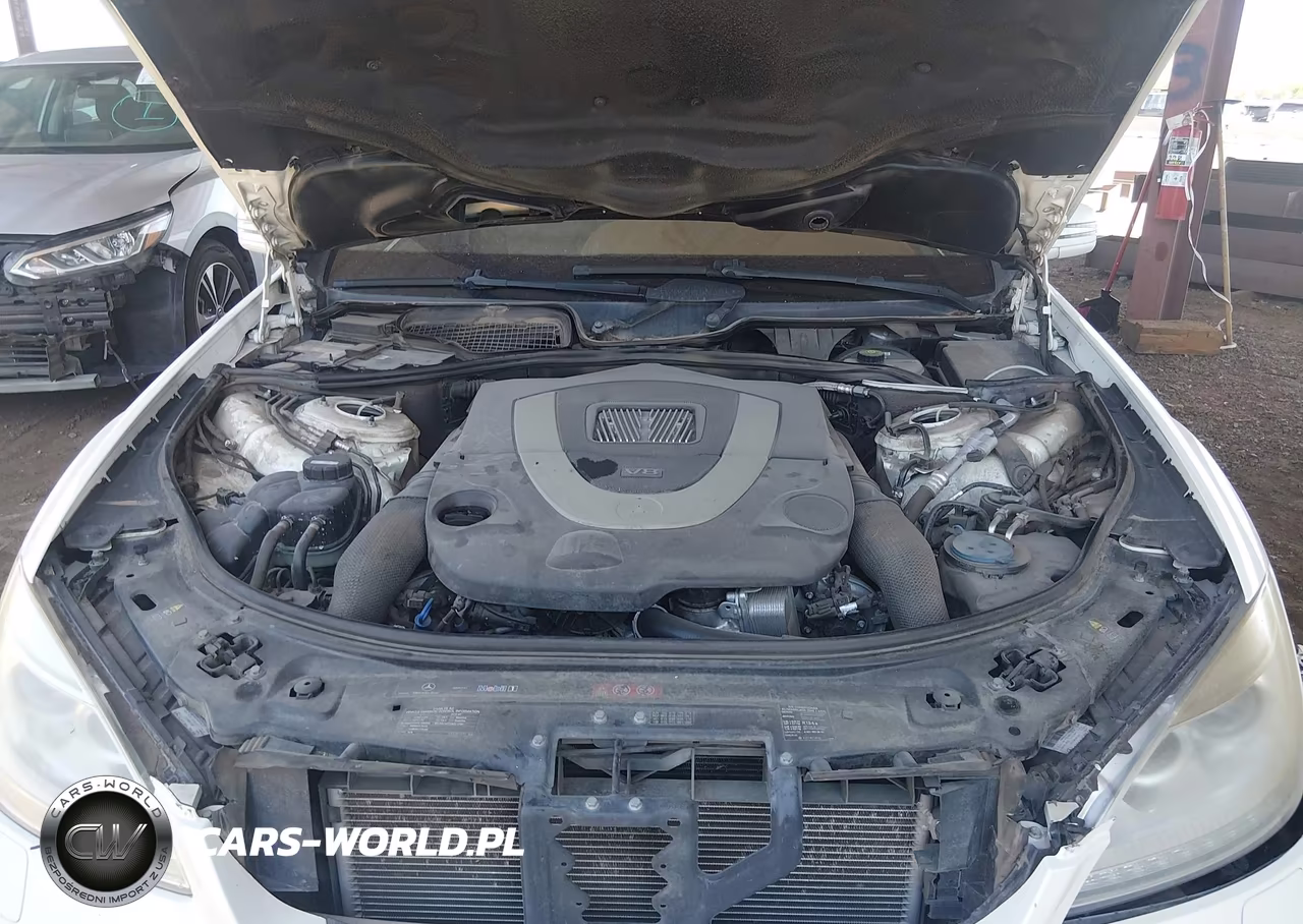 2010 Mercedes-Benz S 550 VIN:WDDNG7BB3AA342276 - 10