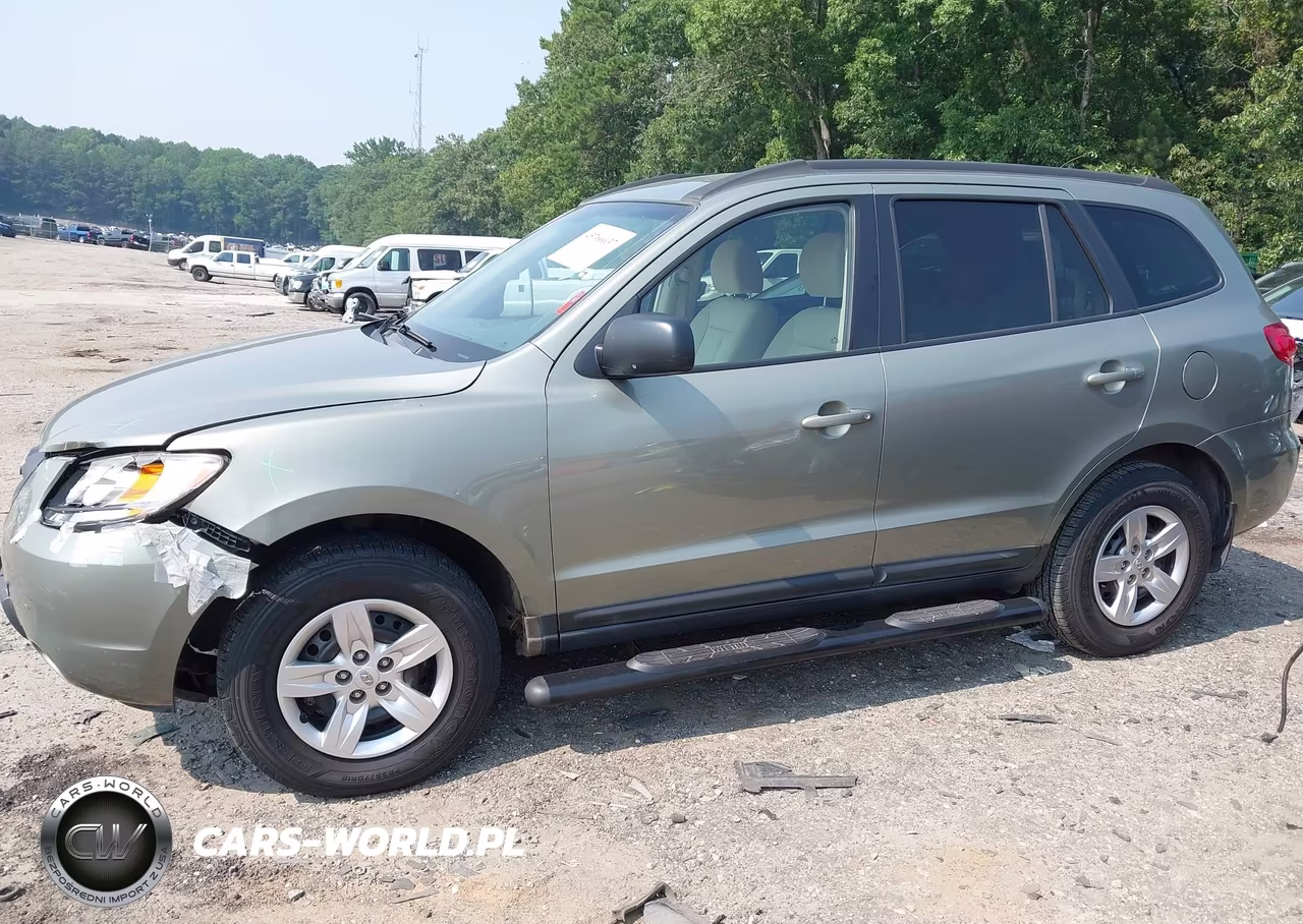 2009 Hyundai Santa Fe Gls VIN:5NMSG13D59H274963 - 13