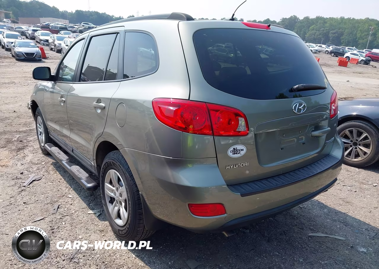 2009 Hyundai Santa Fe Gls VIN:5NMSG13D59H274963 - 3