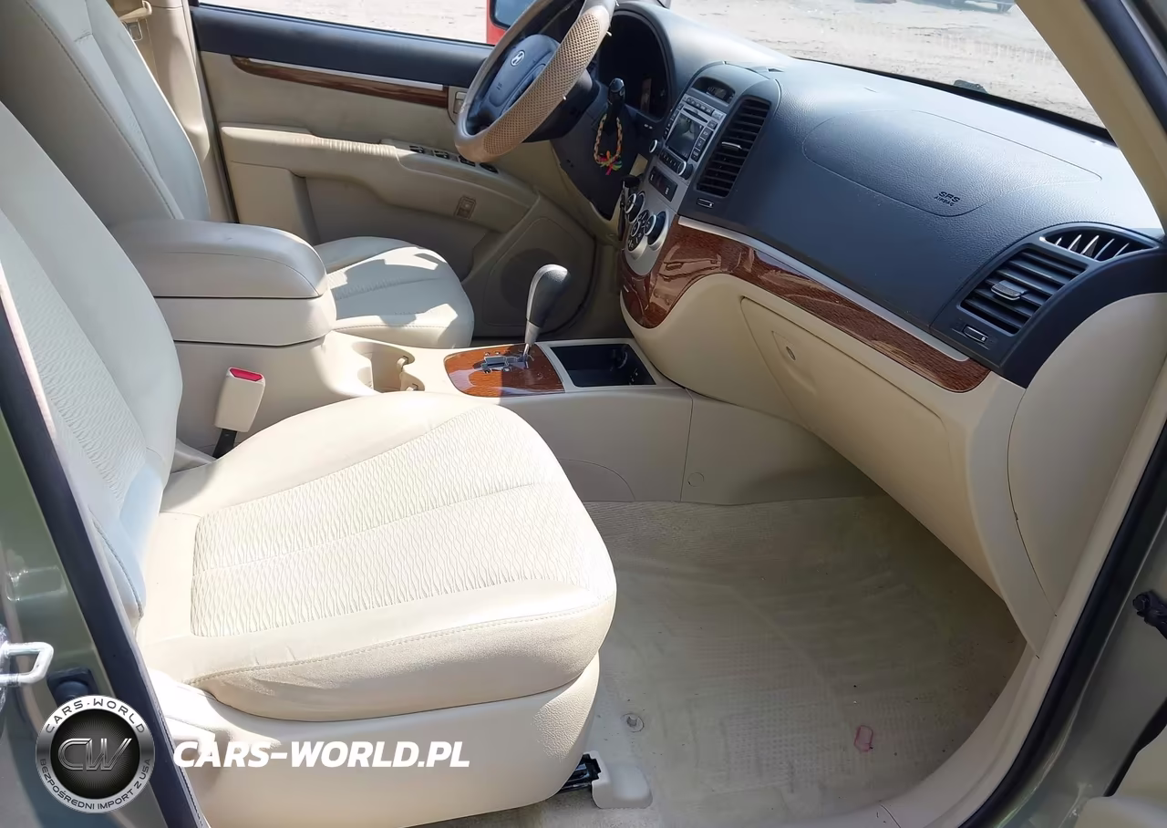 2009 Hyundai Santa Fe Gls VIN:5NMSG13D59H274963 - 5