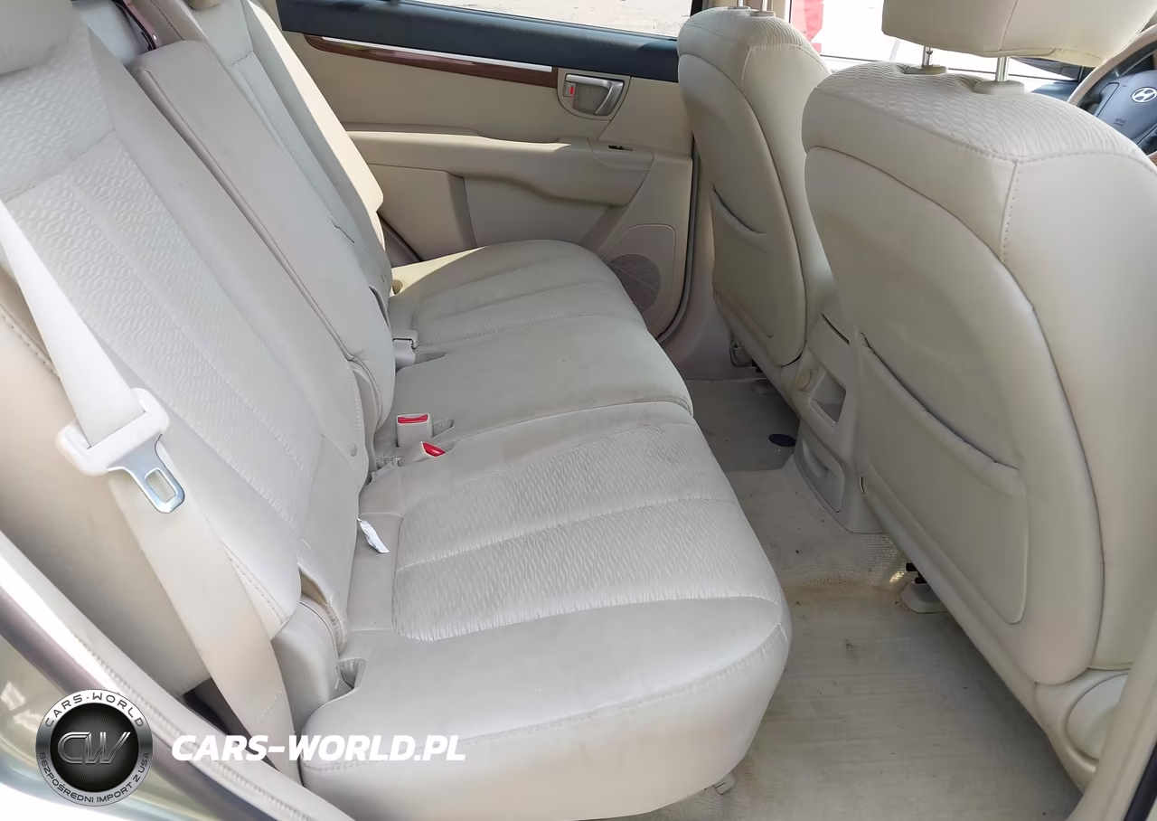 2009 Hyundai Santa Fe Gls VIN:5NMSG13D59H274963 - 8