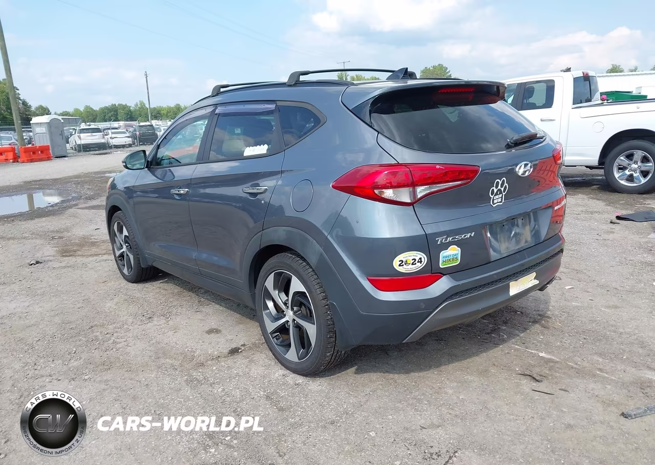2016 Hyundai Tucson Limited VIN:KM8J33A26GU103760 - 3