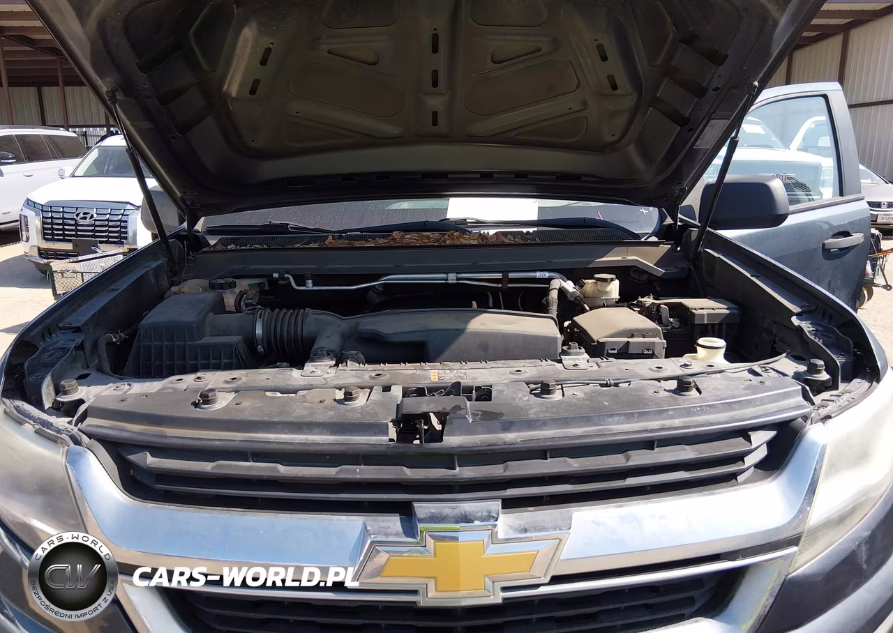 2019 Chevrolet Colorado Wt VIN:1GCHSBEA7K1235499 - 10
