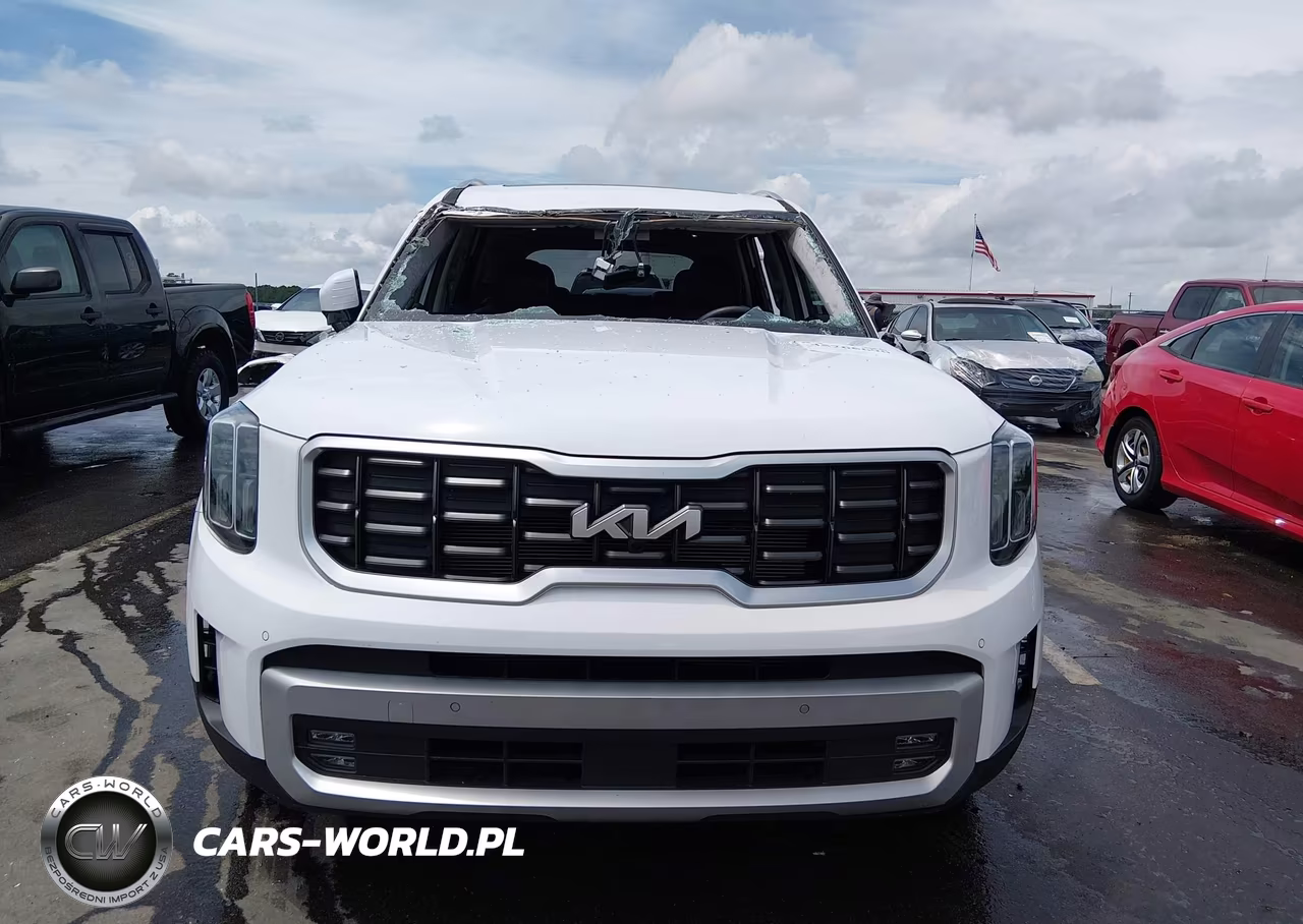 2024 Kia Telluride Sx Prestige VIN:5XYP5DGC7RG478141 - 12