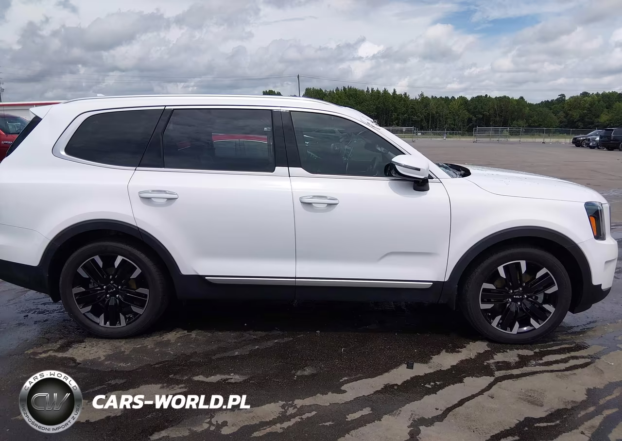 2024 Kia Telluride Sx Prestige VIN:5XYP5DGC7RG478141 - 13