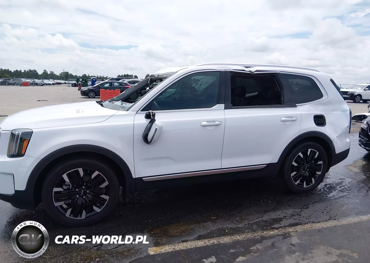 2024 Kia Telluride Sx Prestige VIN:5XYP5DGC7RG478141 - 14