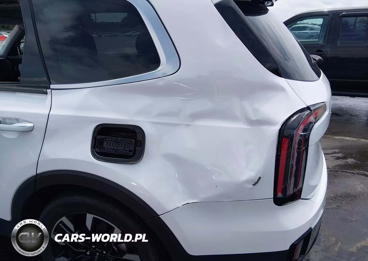 2024 Kia Telluride Sx Prestige VIN:5XYP5DGC7RG478141 - 19