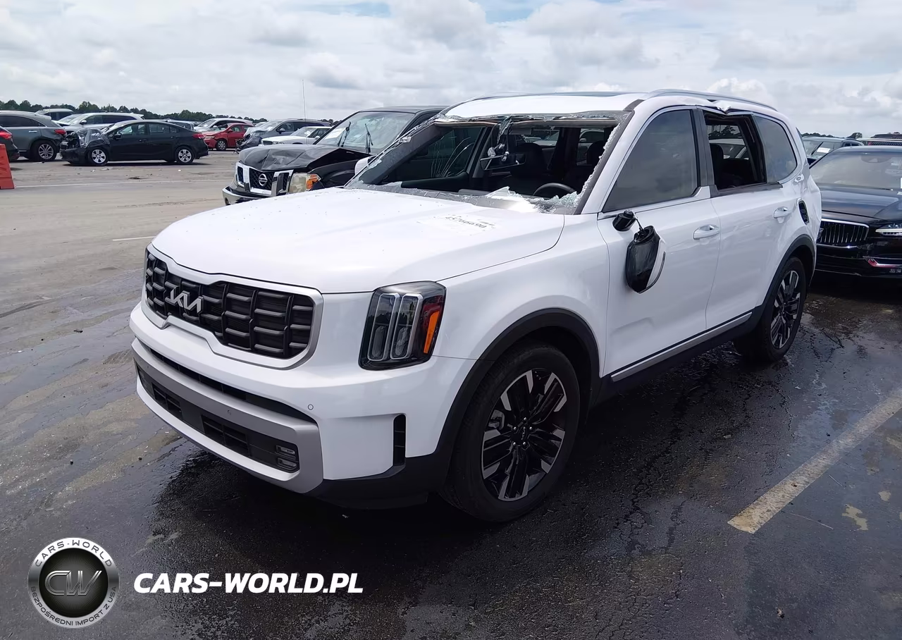 2024 Kia Telluride Sx Prestige VIN:5XYP5DGC7RG478141 - 2