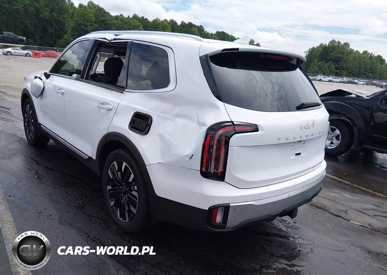 2024 Kia Telluride Sx Prestige VIN:5XYP5DGC7RG478141 - 3