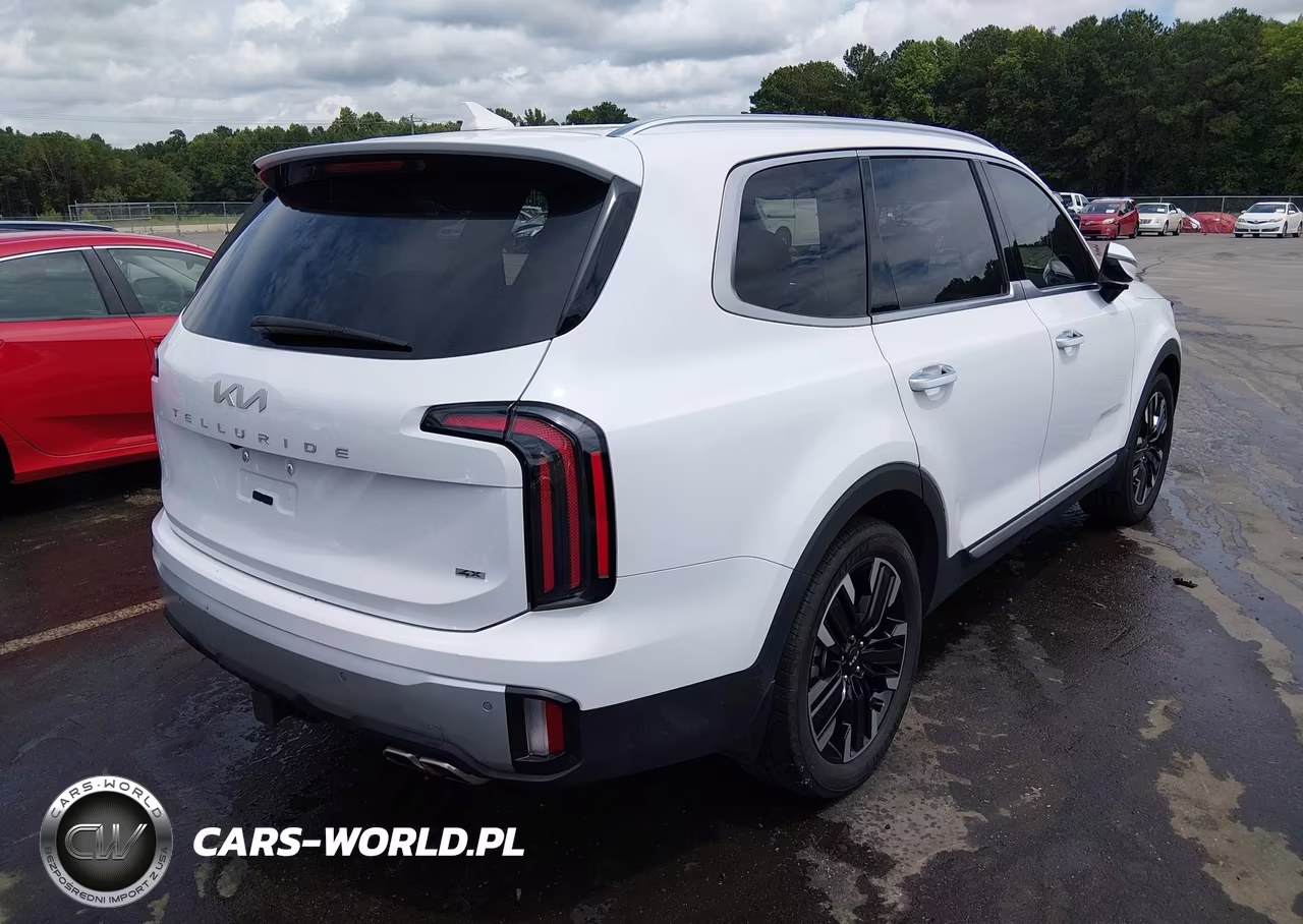 2024 Kia Telluride Sx Prestige VIN:5XYP5DGC7RG478141 - 4