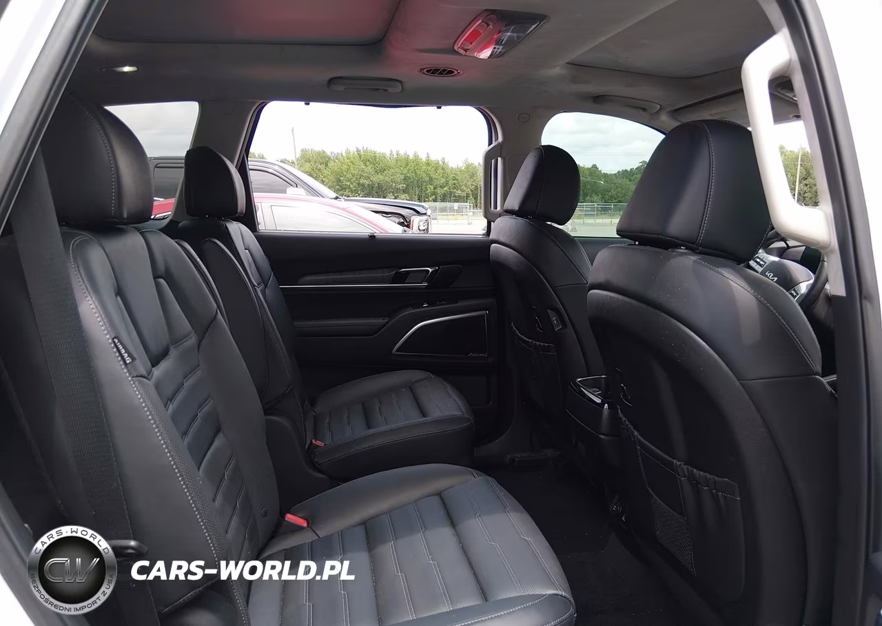 2024 Kia Telluride Sx Prestige VIN:5XYP5DGC7RG478141 - 8