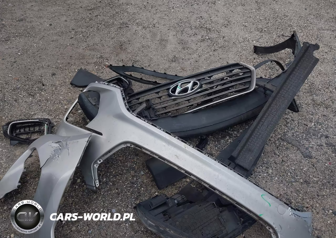 2019 Hyundai Santa Fe Xl Se VIN:KM8SN4HF2KU298326 - 12