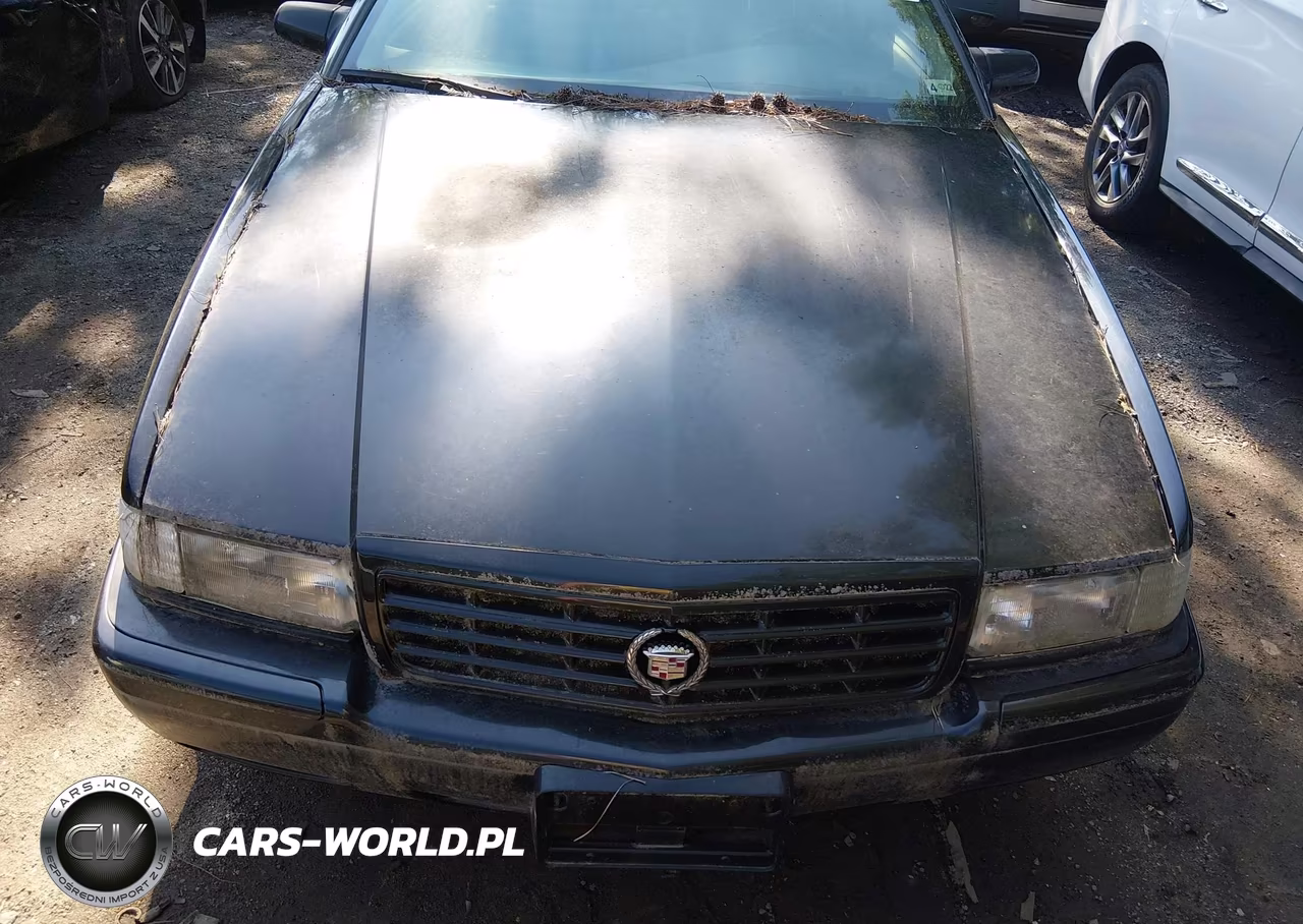 2001 Cadillac Eldorado Etc VIN:1G6ET12981B107904 - 6